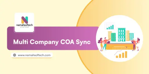 Multi Company COA Sync