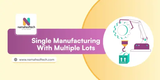 Single Manufacturing with Multiple Lots